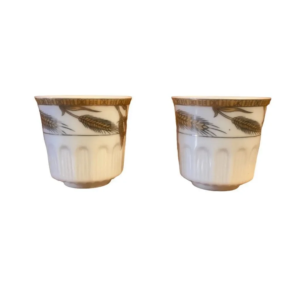 Set of 2 Euro Idea Porcelain Tea Cup Coffee Mug Gold Trim Grain 3” (6884)